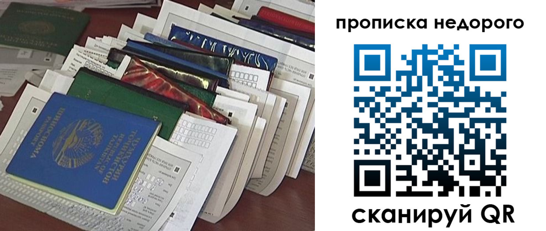 прописка гарантия в Палласовке